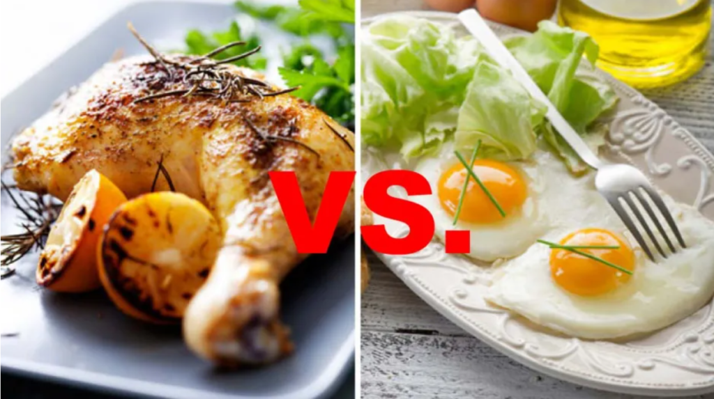 egg vs chiken