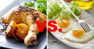 egg vs chiken