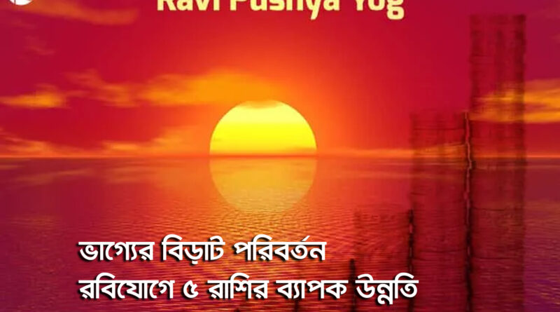 rabi pushya yog