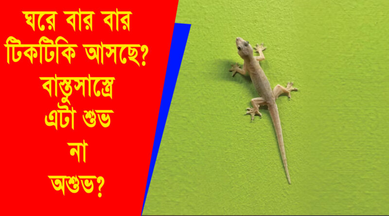 Lizard Vastu Tips