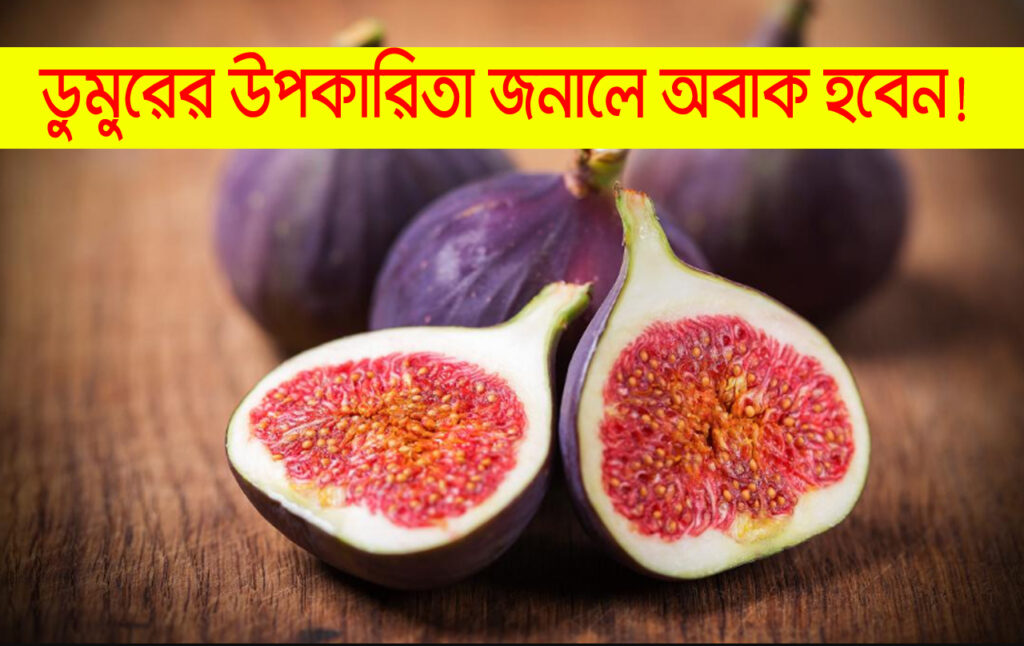 benefits of fig: একটু ক্ষুধার্ত হলে শুকনো ডুমুর কামড়ে খেতে পারেন, এর উপকারিতা জানলে অবাক হবেন