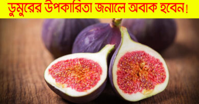 benefits of fig: একটু ক্ষুধার্ত হলে শুকনো ডুমুর কামড়ে খেতে পারেন, এর উপকারিতা জানলে অবাক হবেন