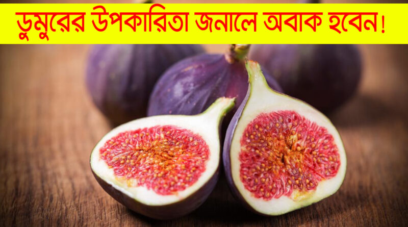 benefits of fig: একটু ক্ষুধার্ত হলে শুকনো ডুমুর কামড়ে খেতে পারেন, এর উপকারিতা জানলে অবাক হবেন