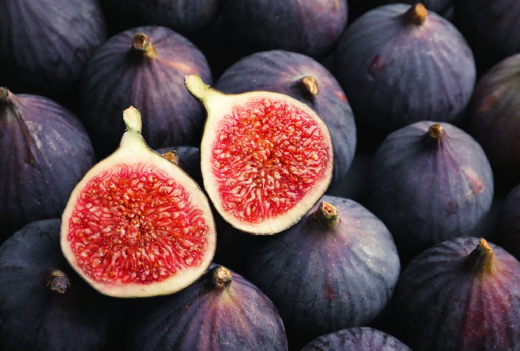 benefits of fig: একটু ক্ষুধার্ত হলে শুকনো ডুমুর কামড়ে খেতে পারেন, এর উপকারিতা জানলে অবাক হবেন