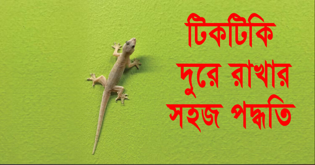 How To Get Rid of Lizards at Home: বাড়ি থেকে কীভাবে টিকটিকি তাড়াতে হবে: টিকটিকি দূরে রাখার সহজ উপায়গুলি