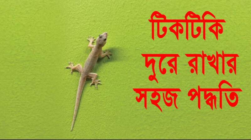 How To Get Rid of Lizards at Home: বাড়ি থেকে কীভাবে টিকটিকি তাড়াতে হবে: টিকটিকি দূরে রাখার সহজ উপায়গুলি