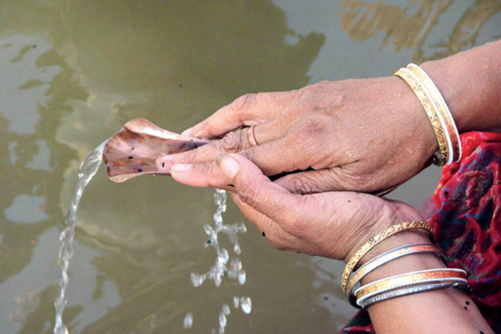 Mahalaya Tarpan : মহালয়া তর্পণ, পশুর রূপ ধরে আজও নেমে আসে পূর্বপুরুষের আত্মারা