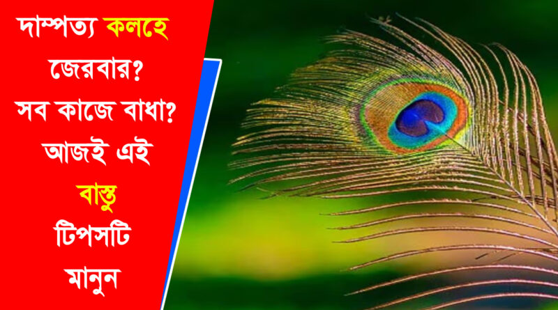 Vastu Tips: দাম্পত্য কলহে জীবন জেরবার? শান্তি ফেরাতে মানুন এই বাস্তু টিপস