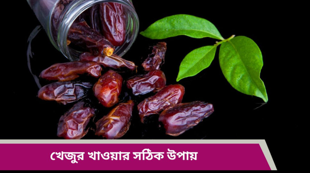 খেজুরের উপকারিতা এবং পুষ্টিগুণ | Benefits of Dates (Khejur) in Bengali