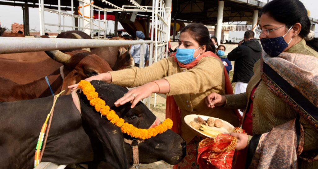 Beef Ban: গরুর মাংস নিষিদ্ধ করার আহ্বান বাড়ছে, অন্যান্য রাজ্য কি আসামের পথ অনুসরণ করবে?